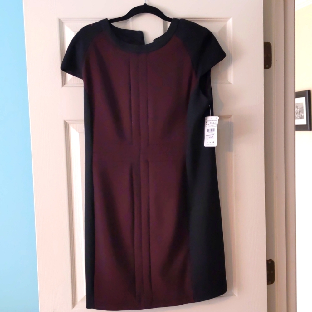 Zara dress